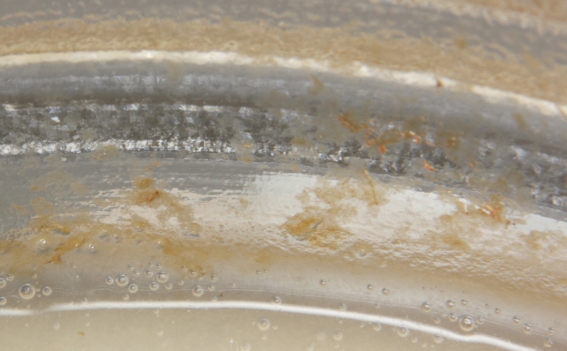 Verunreinigung im Honigglas